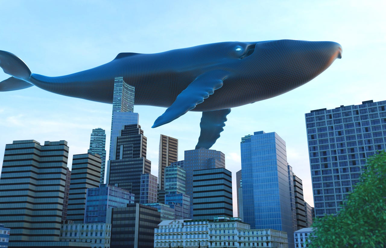 whale flying over city