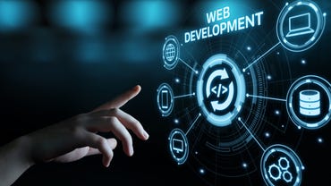 Web developers and digital designers
