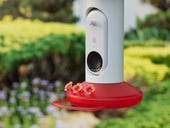 This new smart bird feeder can capture close-up images of hummingbirds