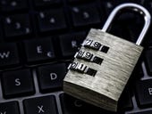 Your business has suffered a data breach. Now what?