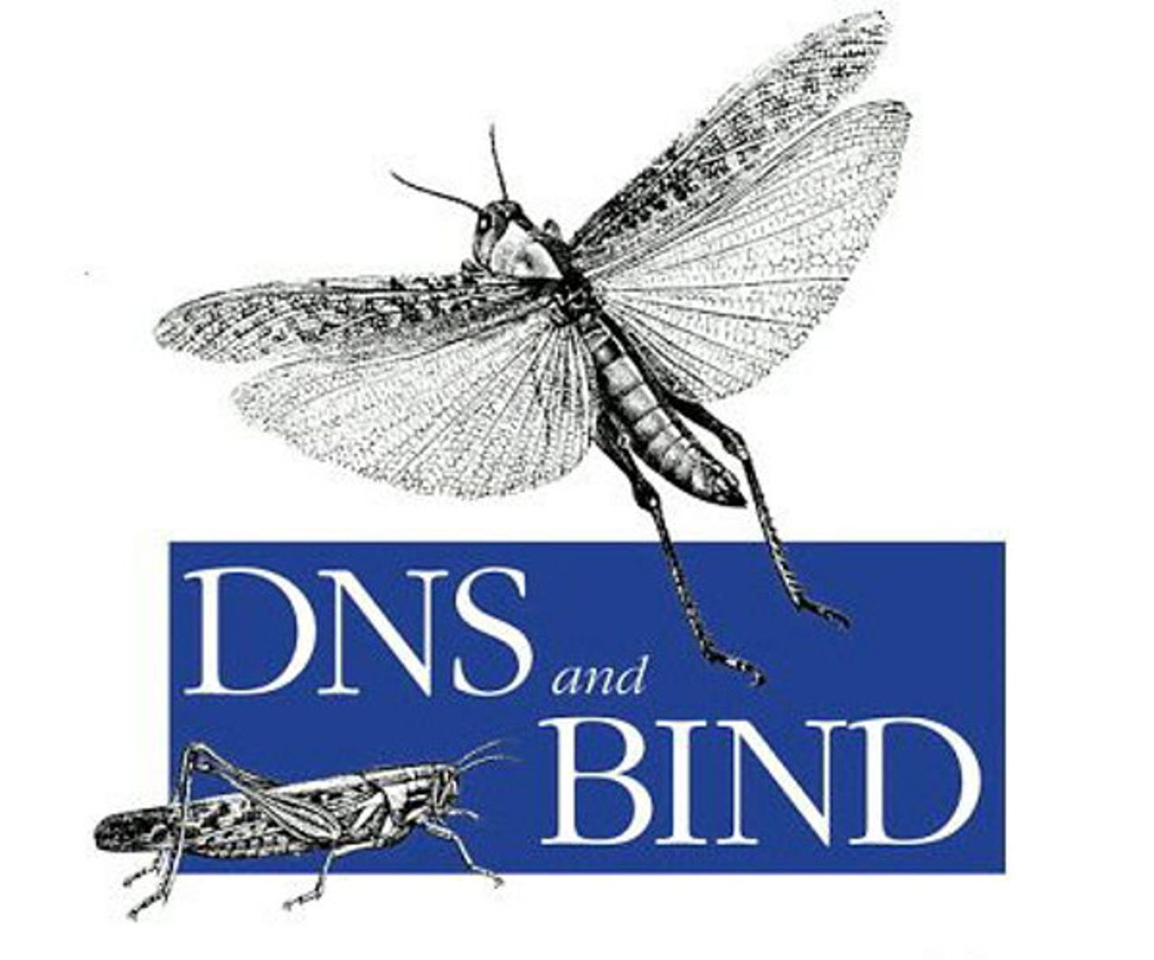 DNS and BINDIt's