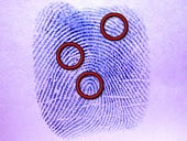 Apple's advanced fingerprint technology is hacked; should you worry?