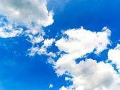 Why fluency in the cloud is a requirement for all CXOs