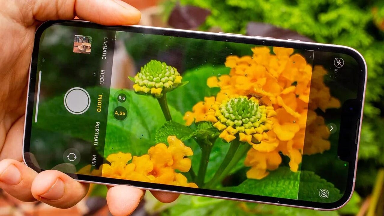 An iPhone taking a picture of a flowering plant