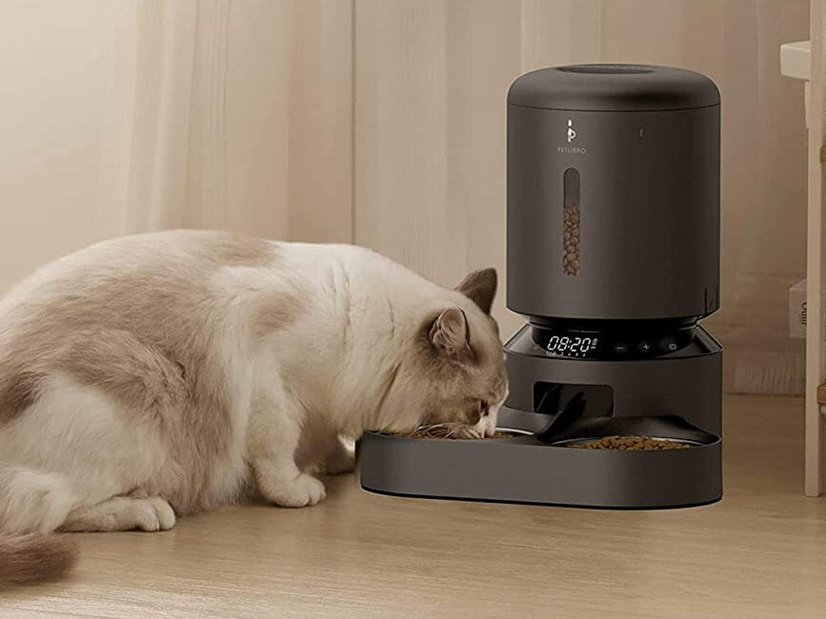 The 5 best automatic pet feeders for fur babies in 2023 | ZDNET