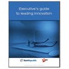 Executive's guide to leading innovation (free ebook)