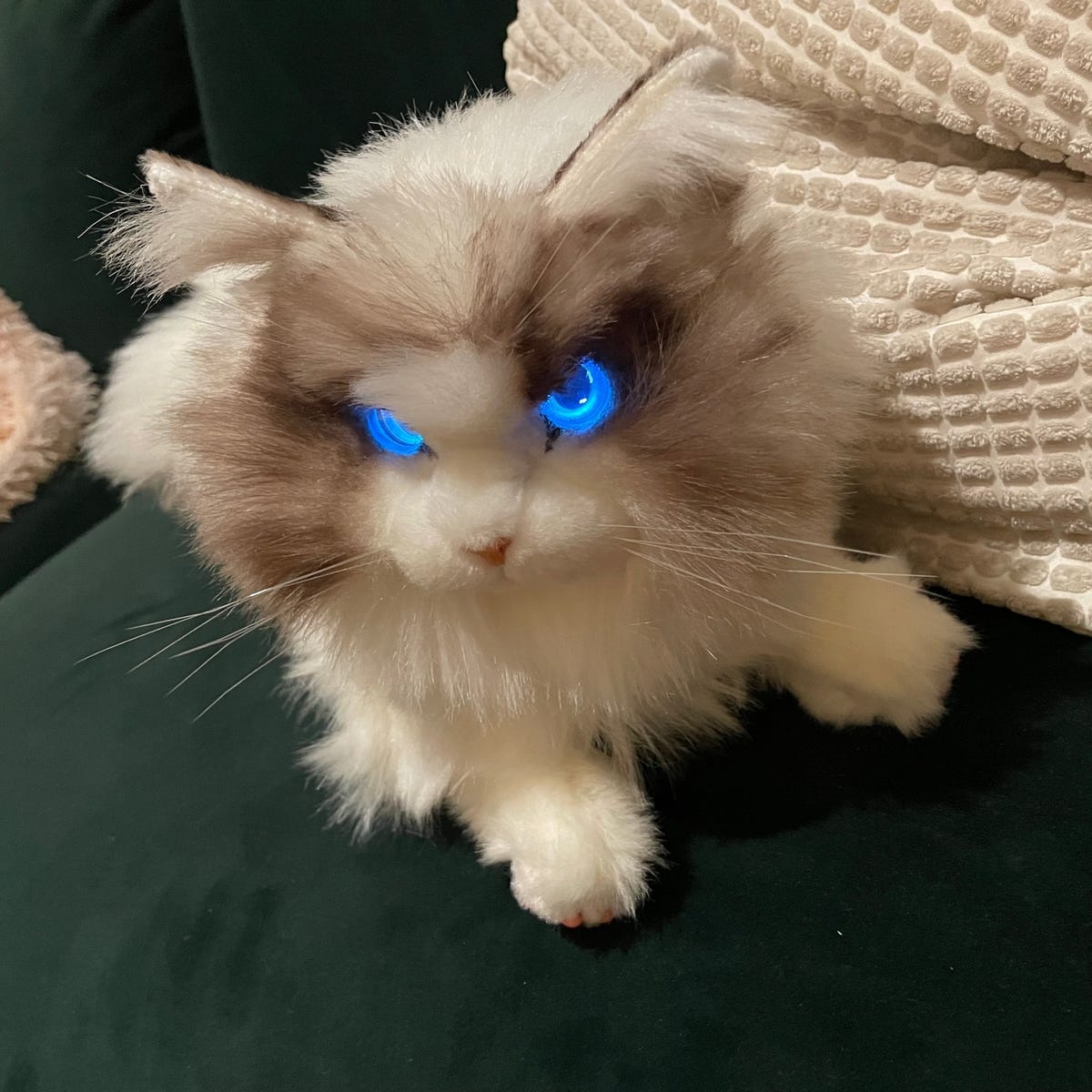 I just spent a week with a robot cat and my life will never be the ...