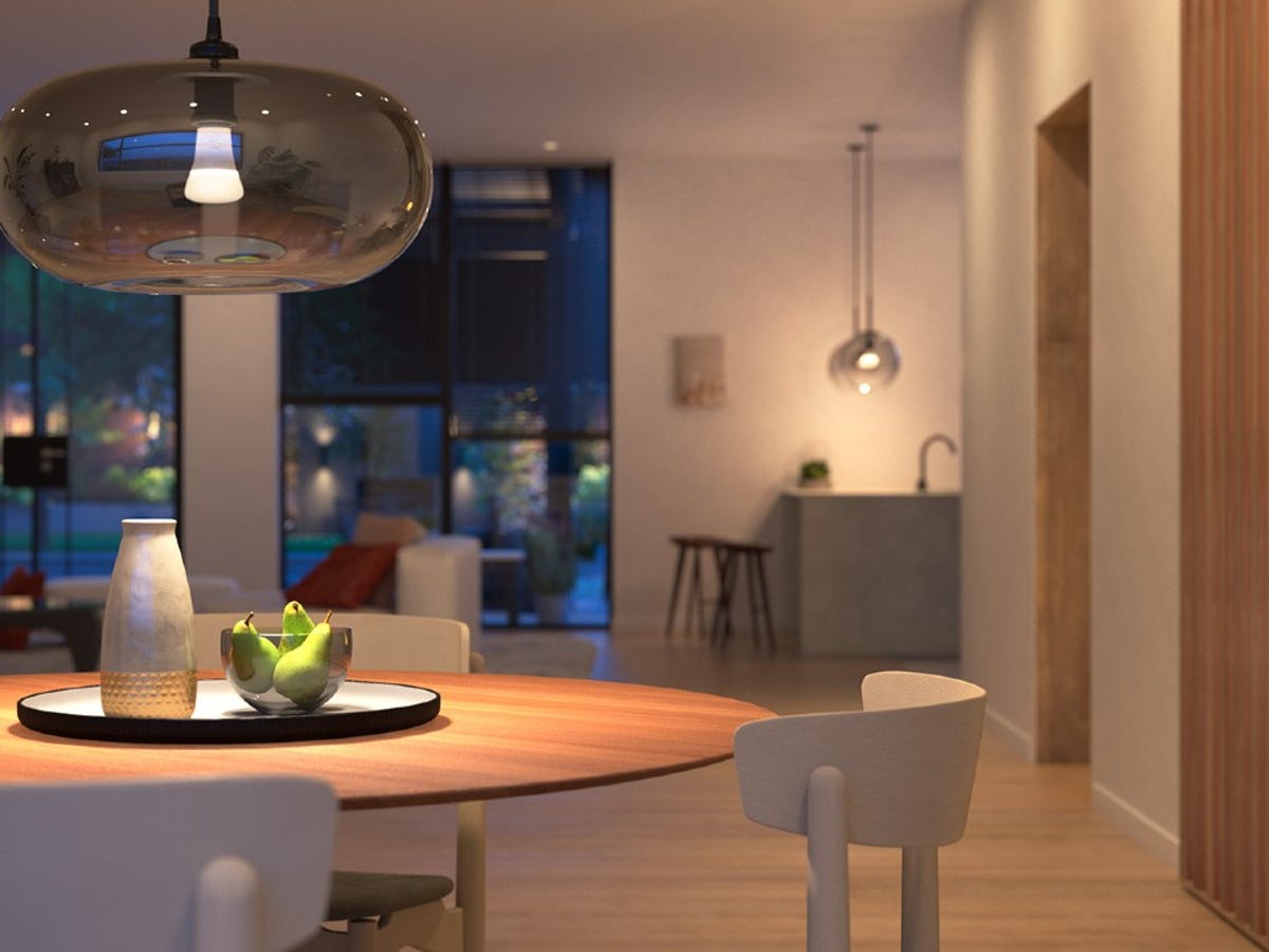 Woning zwavel Continu The best Philips Hue lights of 2023: Expert compared | ZDNET