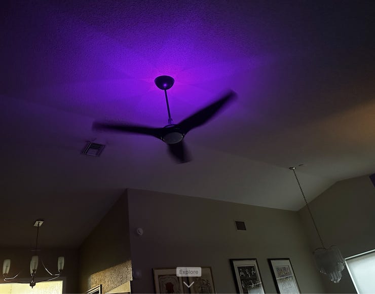 Smart Ceiling Fans Worth The Money