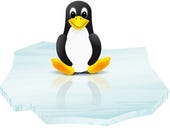 Linux in the Enterprise, Linux on the Desktop.