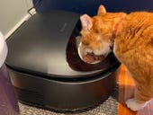 My cat Norbert gives this automatic wet food feeder two paws up