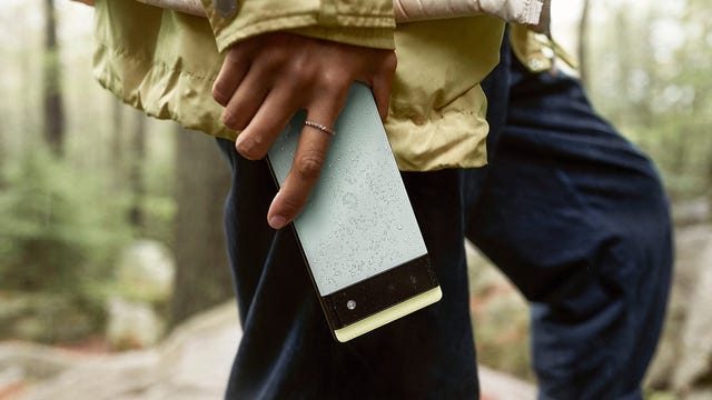 Close-up of someone holding a Google Pixel 6 smartphone while on a walk in the woods
