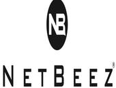 NetBeez testing enterprise networks