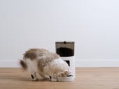 The best automatic pet feeders for when you're away
