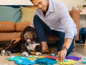 FluentPet Connect lets your pets tell you what they need, wherever you are