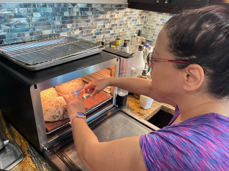 Anova Culinary Precision Oven review: A first-generation product
