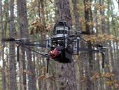 Can drones zipping through the forest prevent fires?