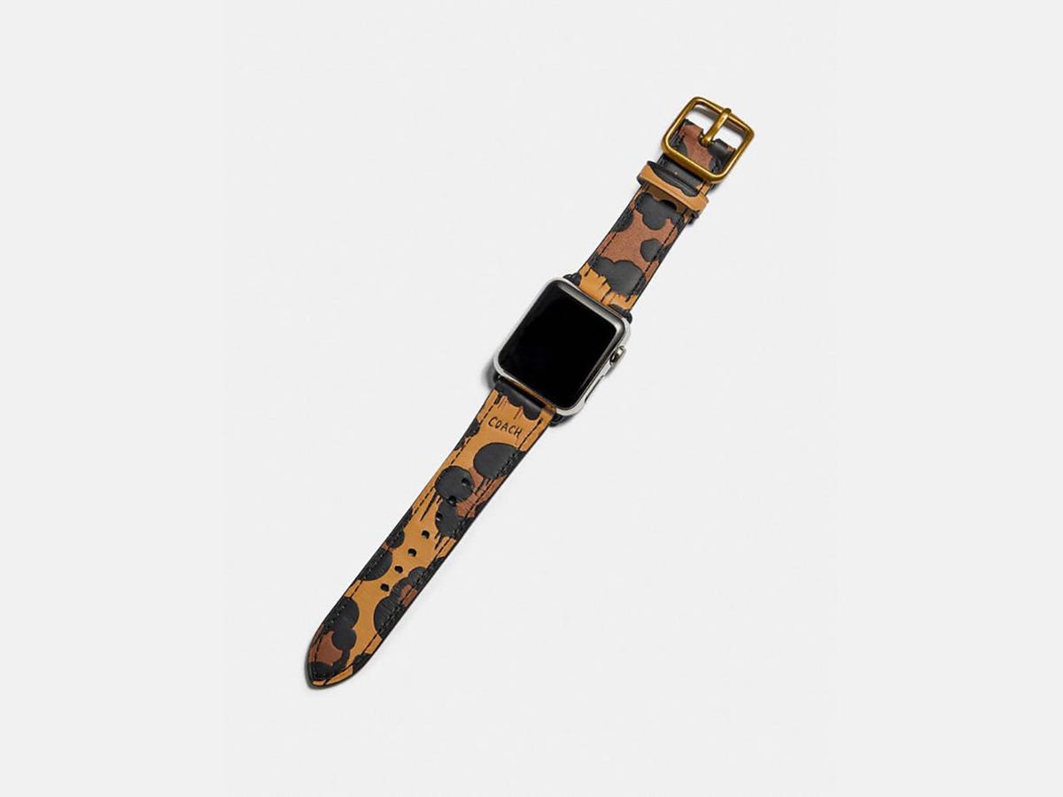 Best Apple Watch bands 2022: Customize your watch | ZDNET