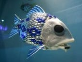 Robot fish and chips to fight water pollution 