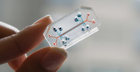 lung-on-a-chip-illuminated-by-natural-light.jpg
