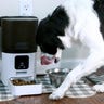Papifeed automatic pet feeder