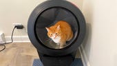 The best robot litter boxes that clean up after your cat (so you don't have to)
