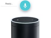 Payments and commerce sector tests IoT concepts in "Alexa challenge"