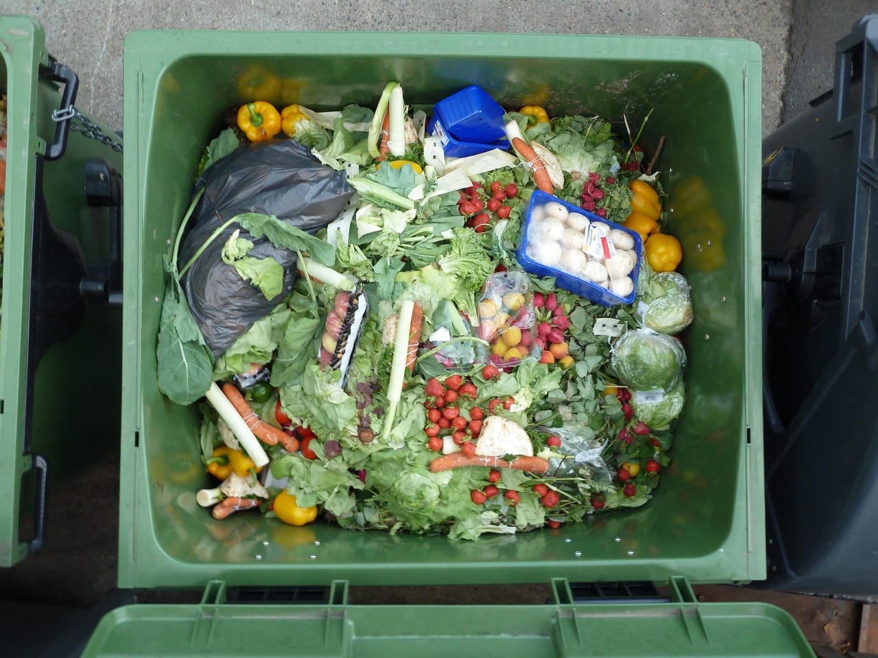 food-waste.jpg
