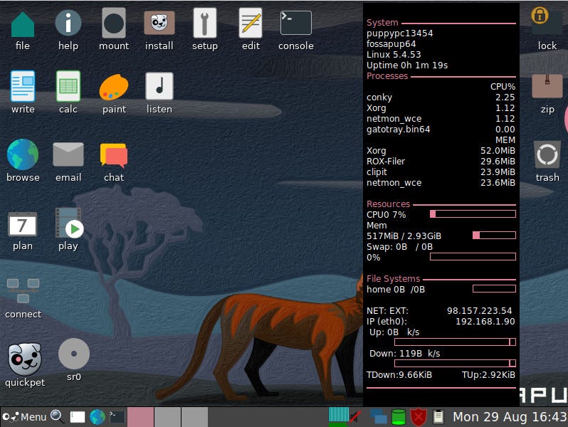The default Puppy Linux desktop.