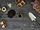 The 5 best seed delivery services: Start your garden