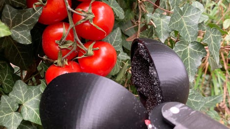 AI gripper next to tomatoes
