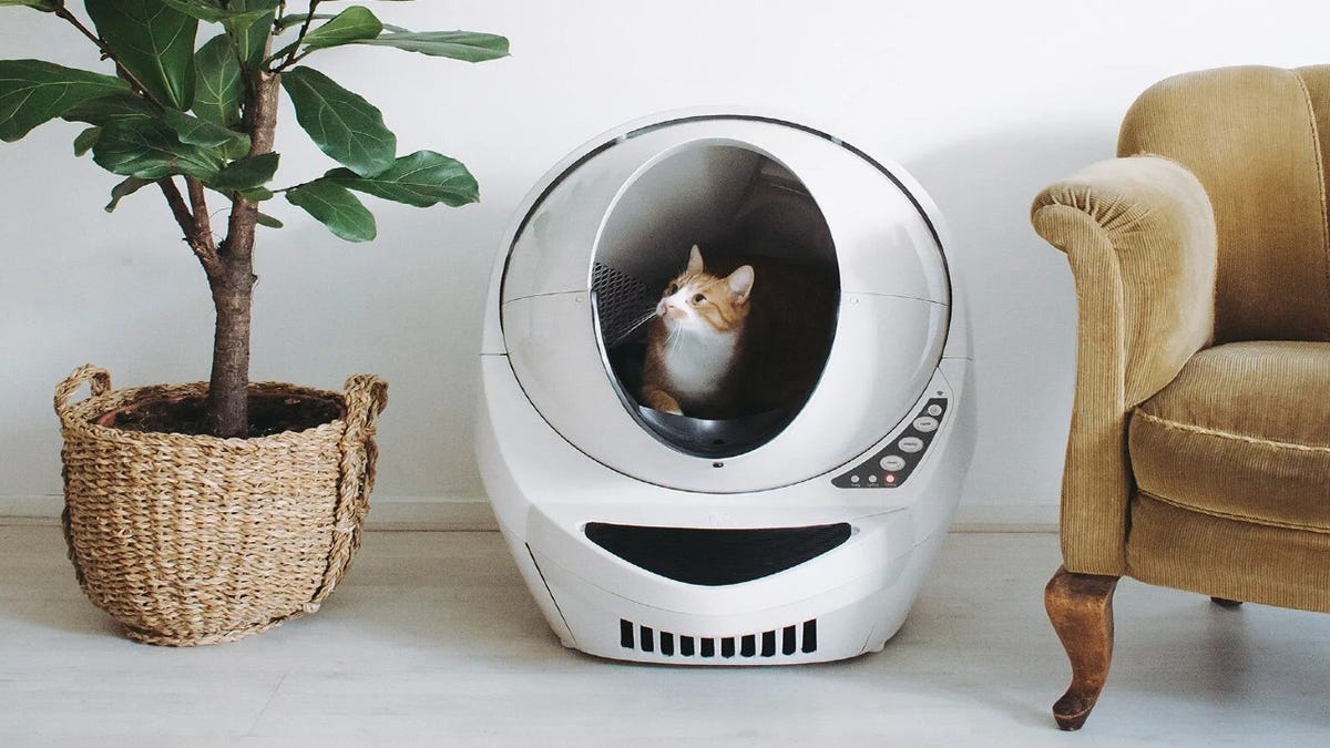 The best robot litter boxes of 2023