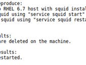 Red Hat Squid web-proxy is not deleting files willy-nilly