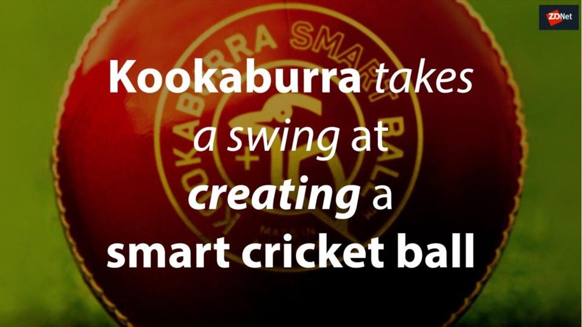 Smart cricket