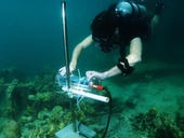 Smart coral reefs: This underwater, fish-spotting AI helps protect the rainforest of the sea