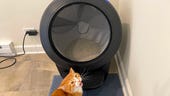 The best self-cleaning litter boxes you can buy: Expert tested