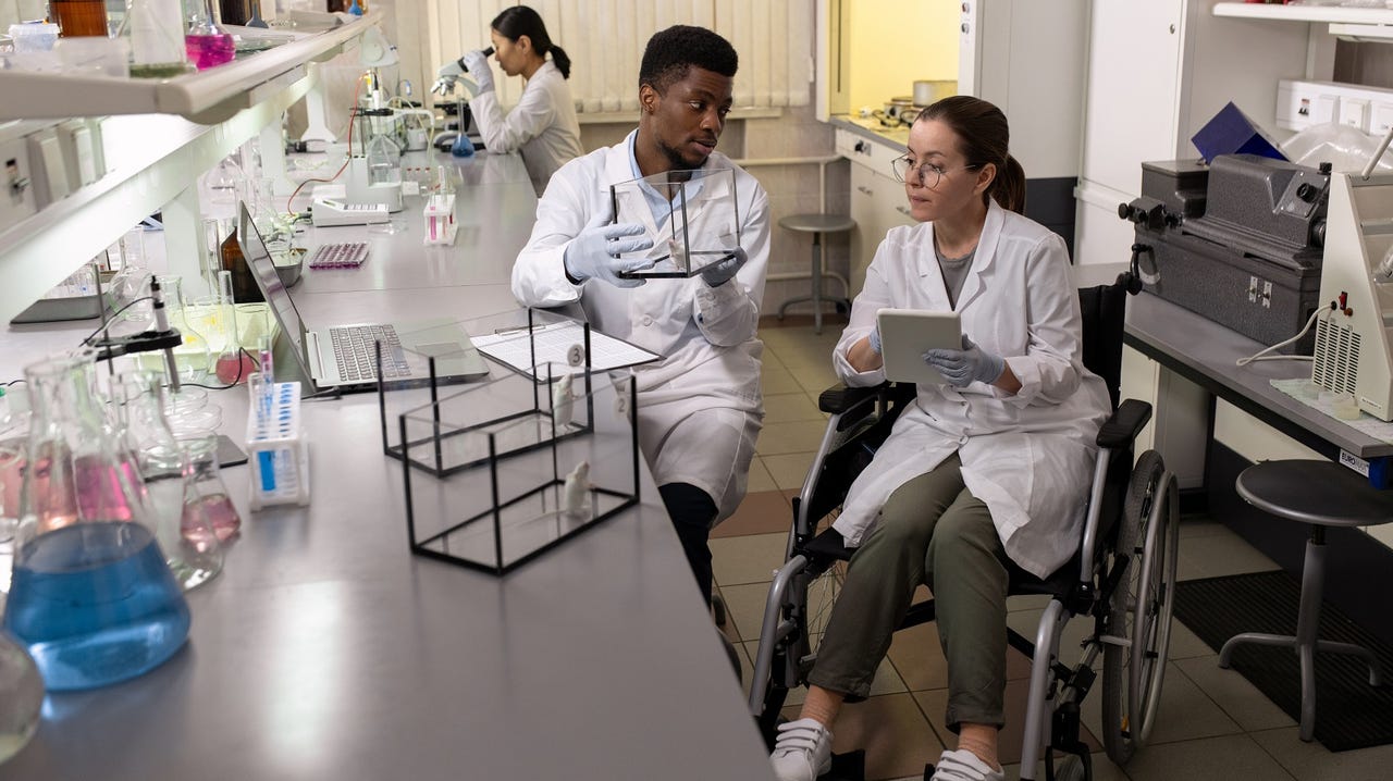 Scientist in wheelchair using tablet and looking at mouse in glass box held by African male colleague - stock photo