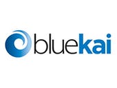 BlueKai expands to London, taps Microsoft exec to lead