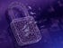 Purple security lock