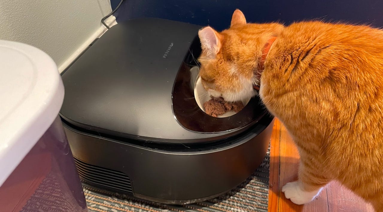 Orange cat eating out of a black automatic pet food feeder