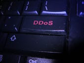Man pleads guilty to launching DDoS attacks against former employers