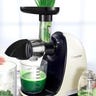 AMZCHEF Slow Masticating Juicer Extractor review | Best juicer