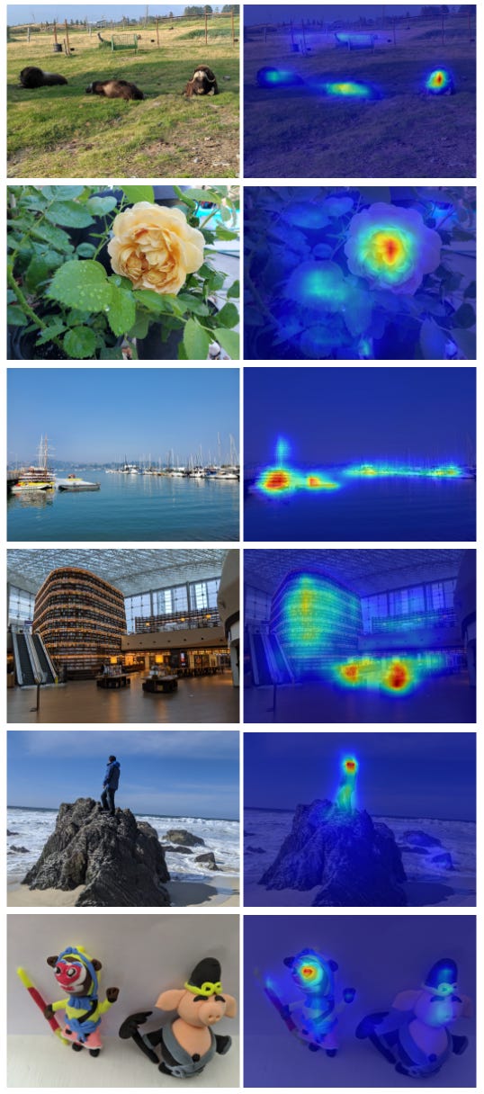 photos with matching heatmaps of where human gaze goes first