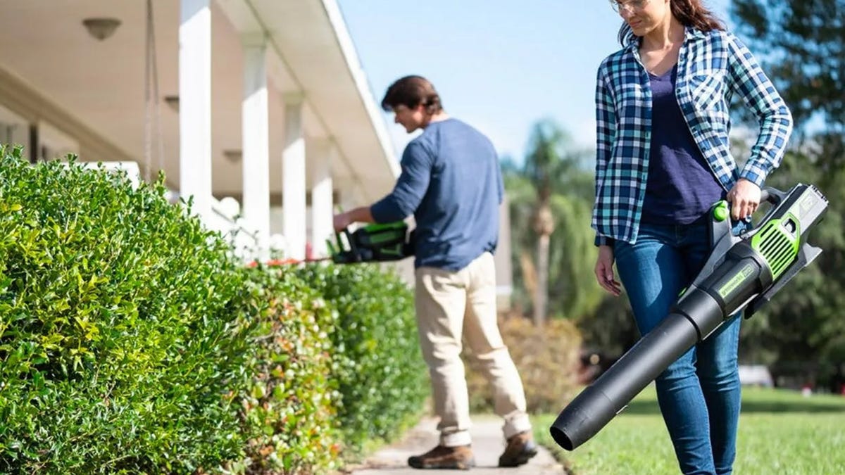 The best electric leaf blowers of 2022