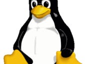 The most popular end-user Linux distributions are...
