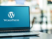 How to enable WordPress plugin auto updates (and when you shouldn't)