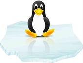 China's home-grown Linux OS shutters