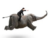 Azure HDInsight gets its own Hadoop distro, as big data matures