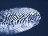 No, you can't store people's fingerprints in a central database, Dutch court rules