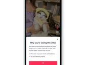 TikTok gives users another small peek into its algorithm's powerful mechanics